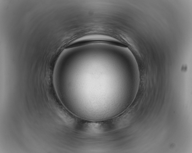 X0000090770265200707201445