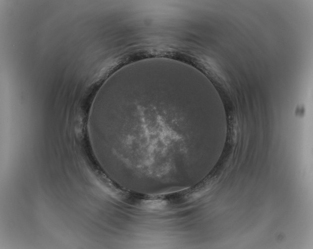 X0000090770266200707201445