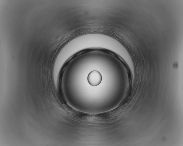 X0000090770268200707201445