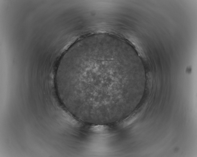 X0000090770269200707201445