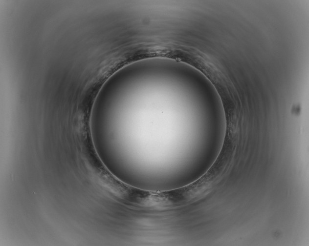 X0000090770270200707201445