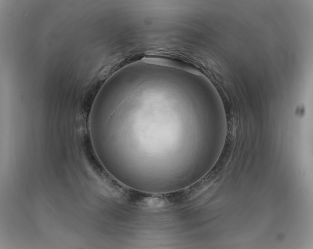 X0000090770272200707201445