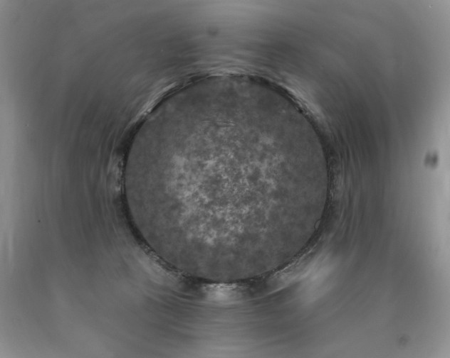 X0000090770273200707201445
