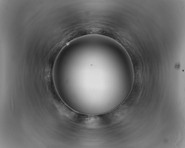 X0000090770274200707201445