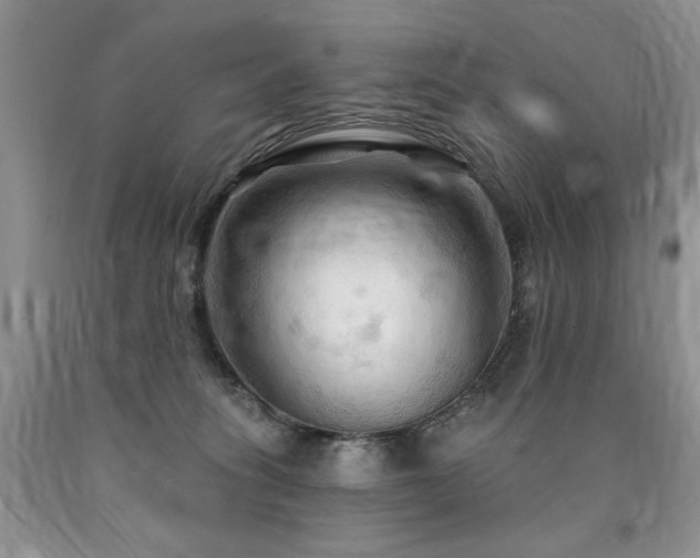 X0000090770275200707201445