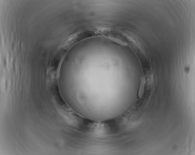 X0000090770276200707201445
