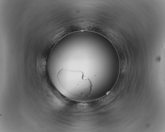X0000090770279200707201445