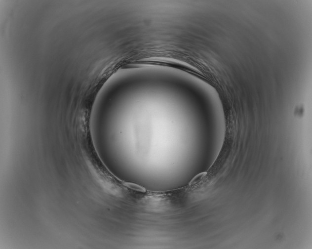 X0000090770280200707201445