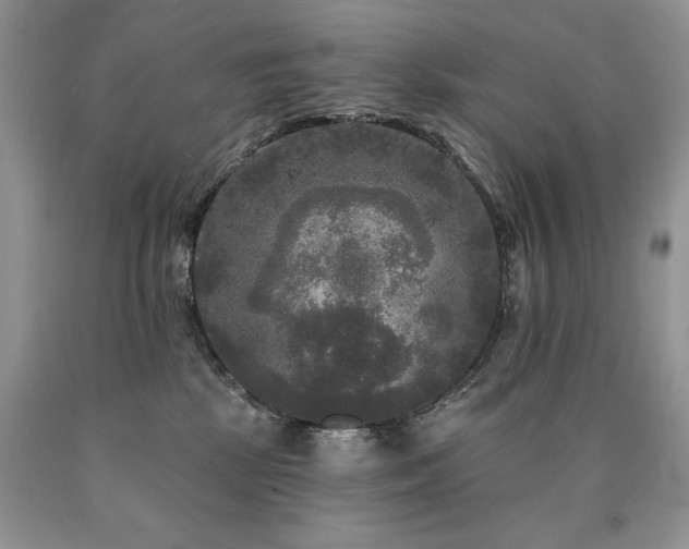 X0000090770281200707201445