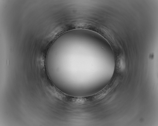 X0000090770282200707201445