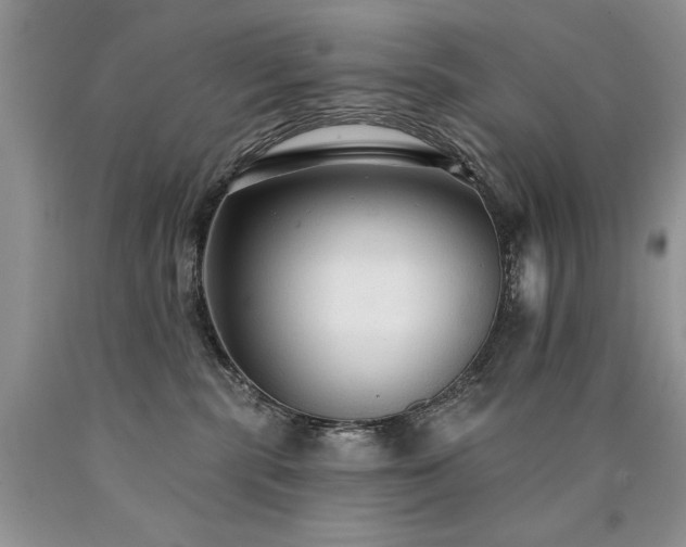 X0000090770283200707201445