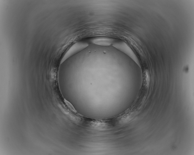 X0000090770284200707201445