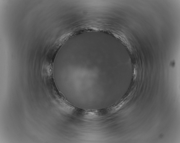 X0000090770285200707201445