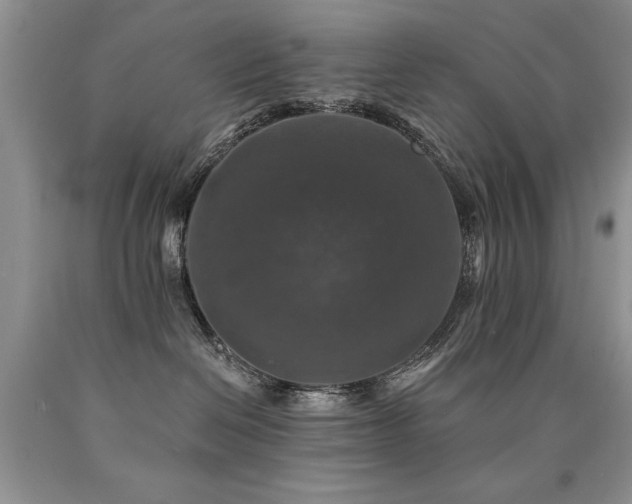 X0000090770286200707201445