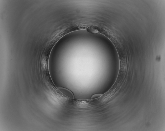 X0000090770287200707201445