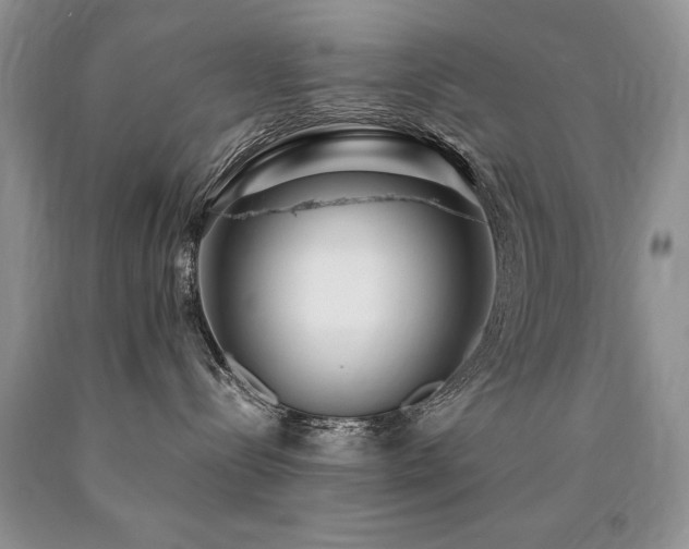X0000090770288200707201445