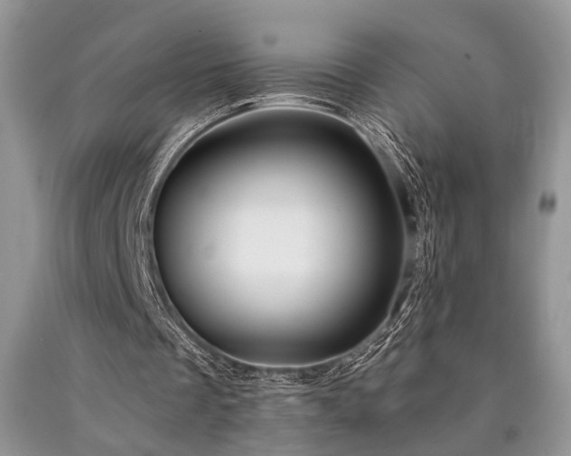 X0000090770289200707201444