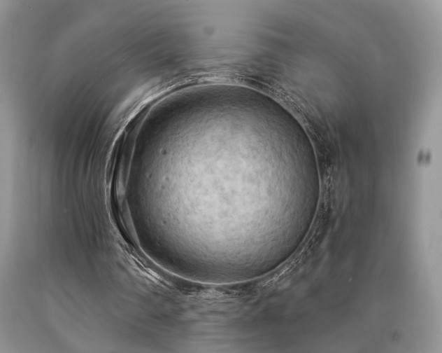 X0000090770290200707201444