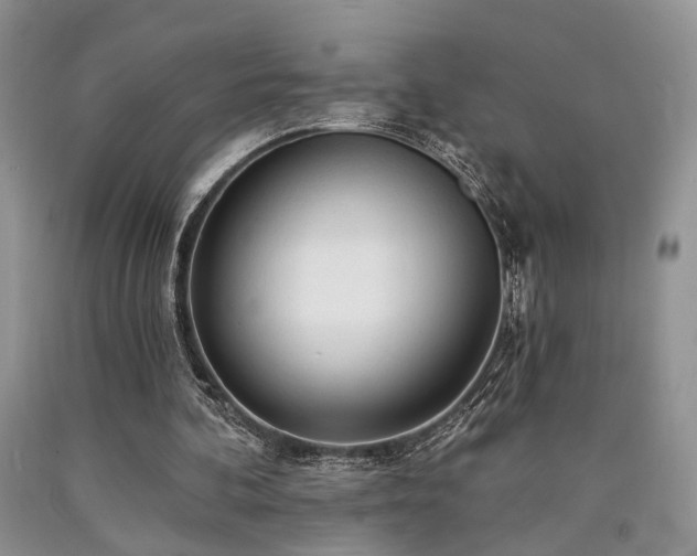 X0000090770292200707201444