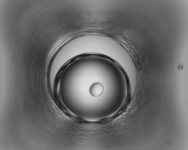 X0000090770293200707201444