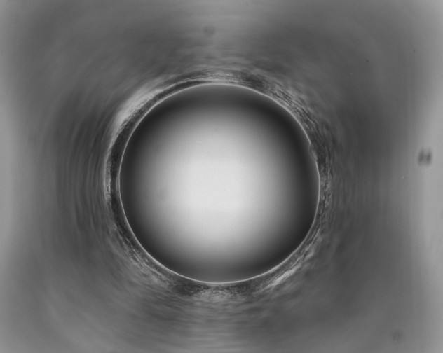 X0000090770294200707201444