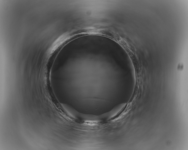 X0000090770295200707201444