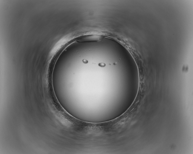 X0000090770296200707201444