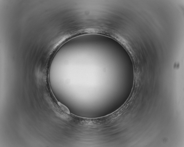 X0000090770297200707201444