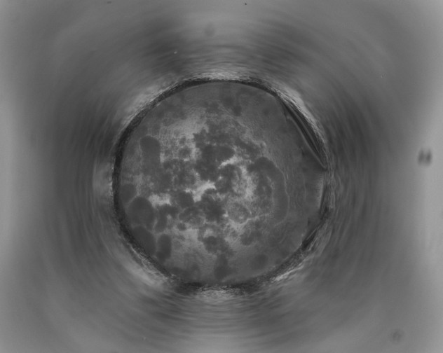 X0000090770299200707201444
