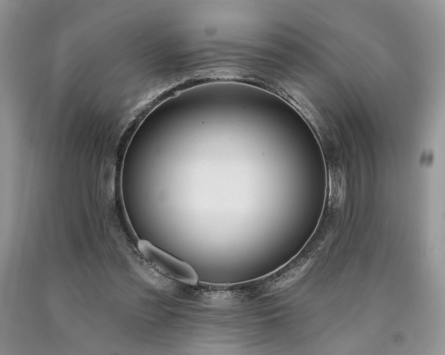 X0000090770301200707201444