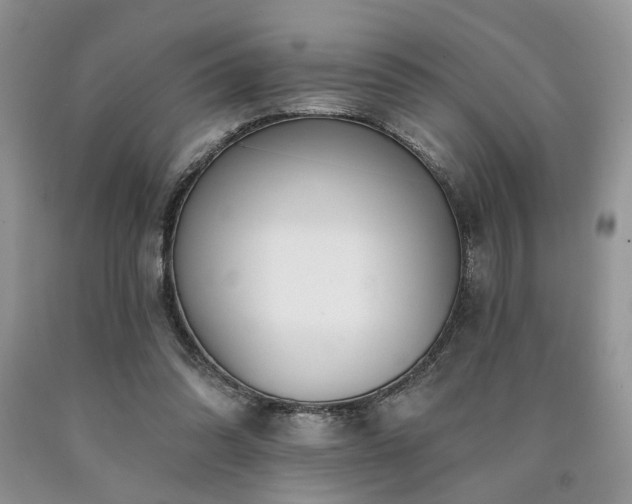 X0000090770302200707201444