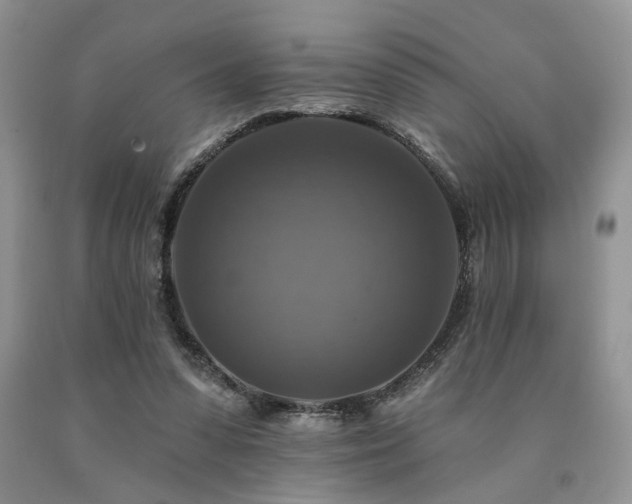 X0000090770303200707201444