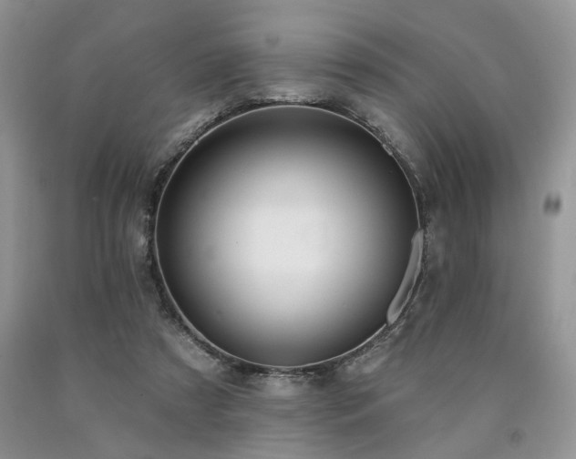 X0000090770305200707201444