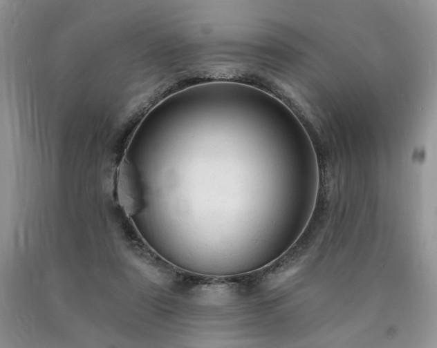 X0000090770307200707201444