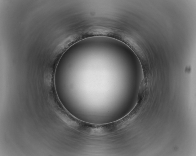 X0000090770309200707201444