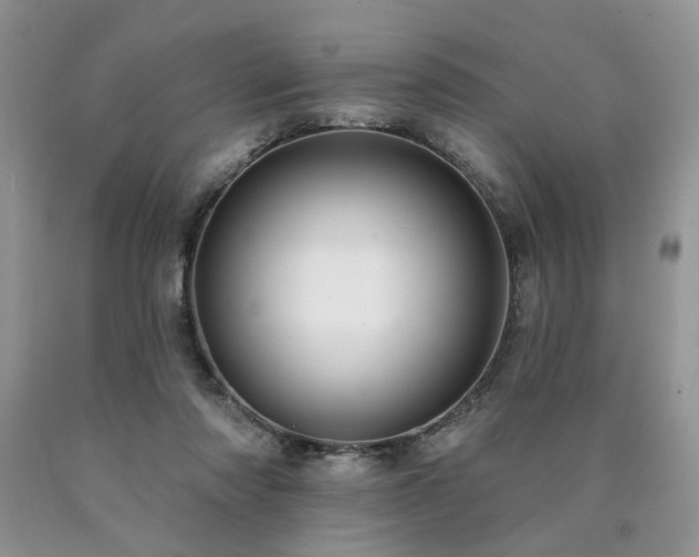 X0000090770310200707201444
