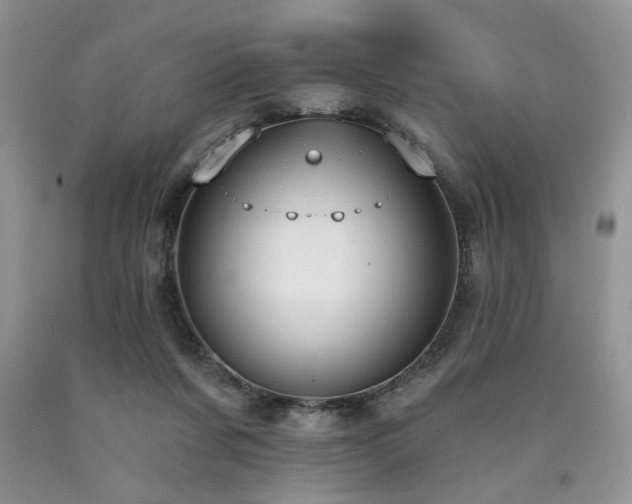 X0000090770311200707201444