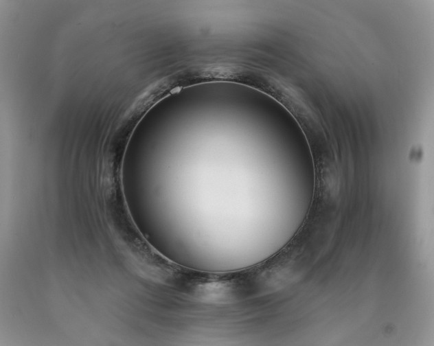 X0000090770312200707201444