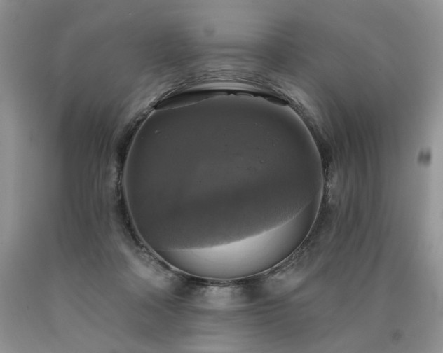 X0000090770314200707201444