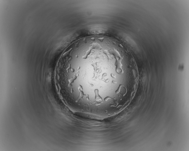 X0000090770315200707201444