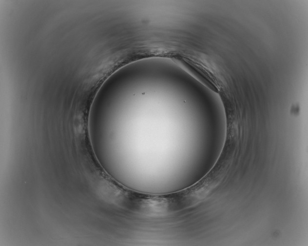 X0000090770317200707201444