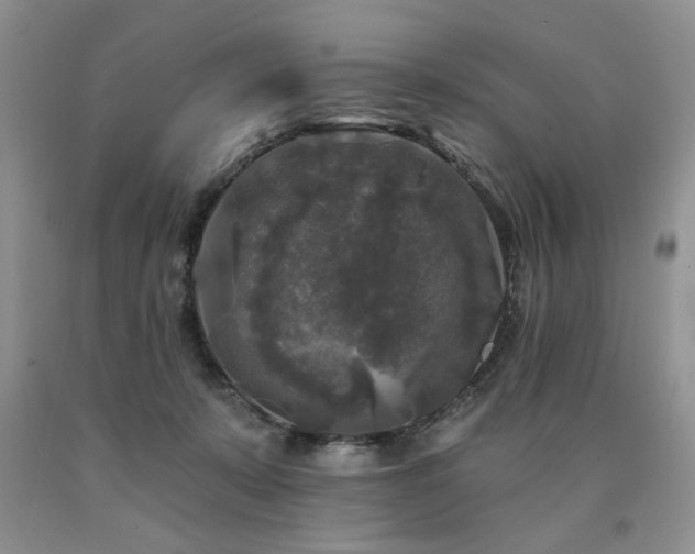 X0000090770319200707201444