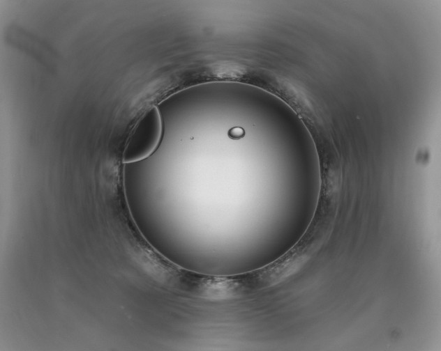 X0000090770321200707201444