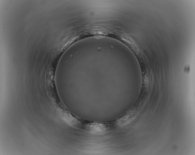 X0000090770322200707201444