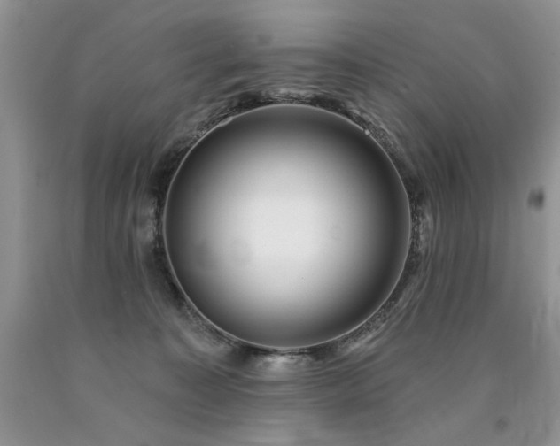 X0000090770323200707201444