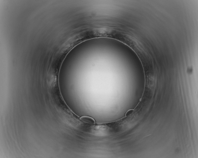 X0000090770324200707201444