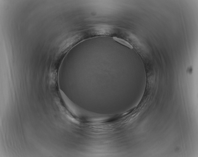 X0000090770325200707201444
