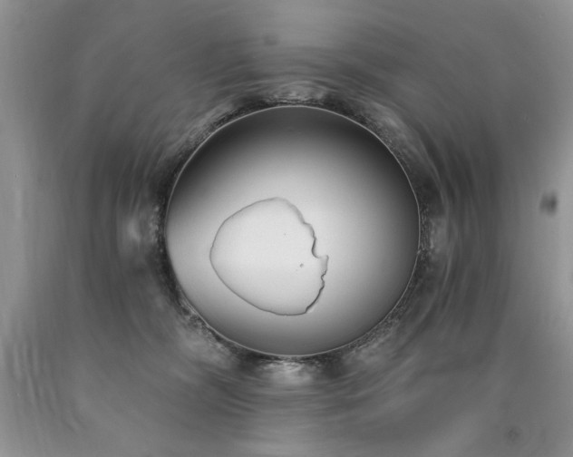 X0000090770326200707201444