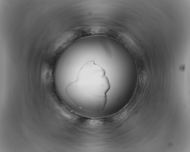 X0000090770327200707201444