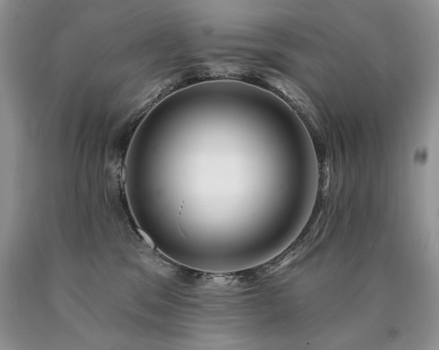 X0000090770329200707201444